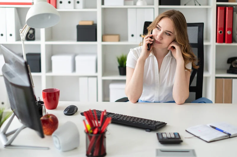 businesswoman in office negotiation